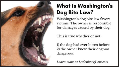 dog bite laws